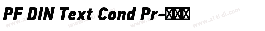 PF DIN Text Cond Pr字体转换 PF DIN Text Cond Pr字体转换